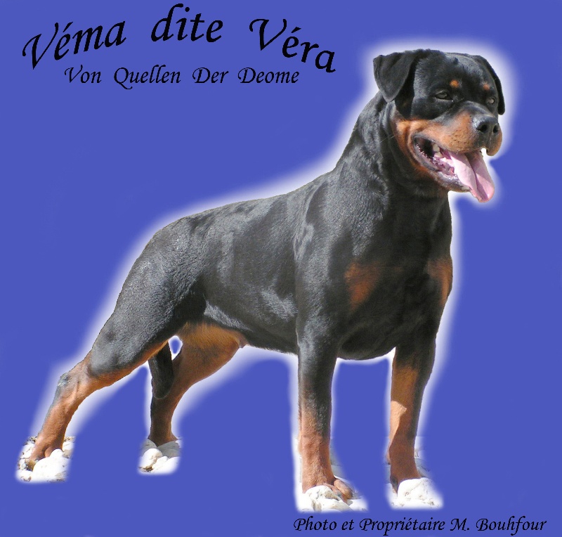 Véma (dite véra) Von quellen der deome